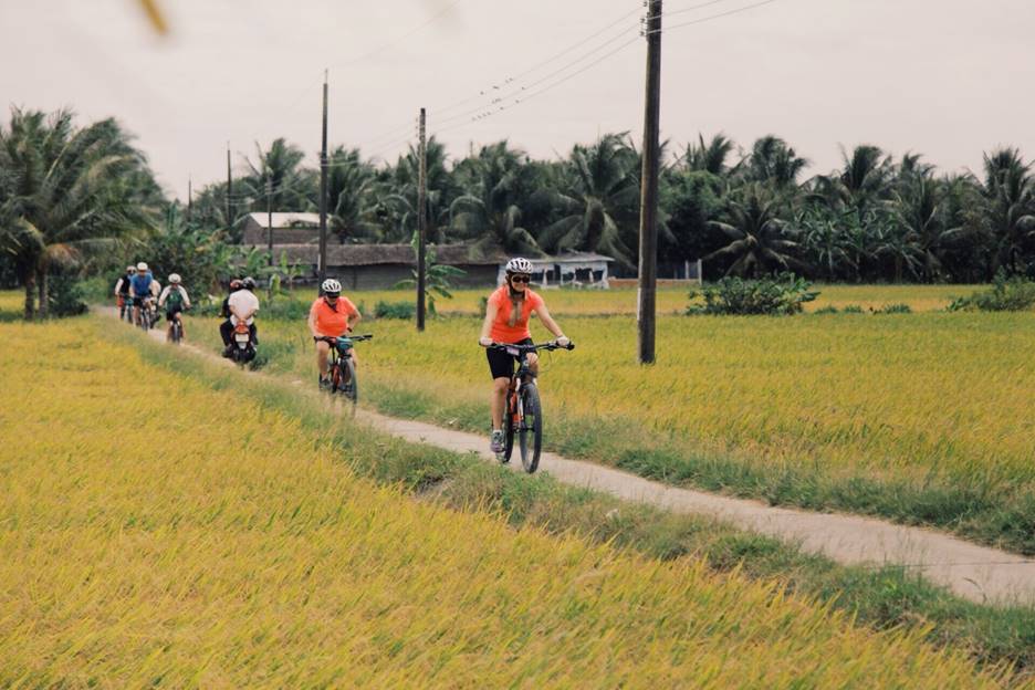 Mùa vàng vùng biên: Trải nghiệm mới cho du lịch Tây Ninh