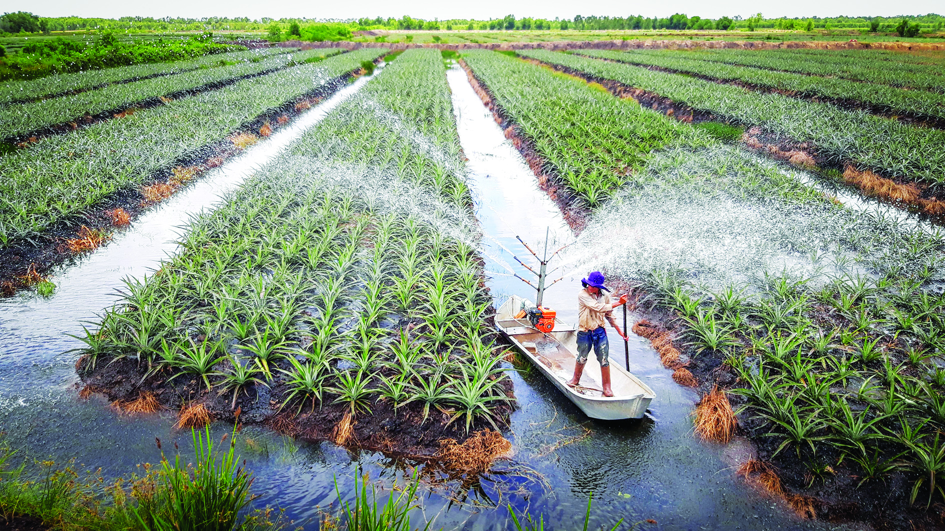 Kết hợp du lịch, nâng tầm giá trị nông thôn