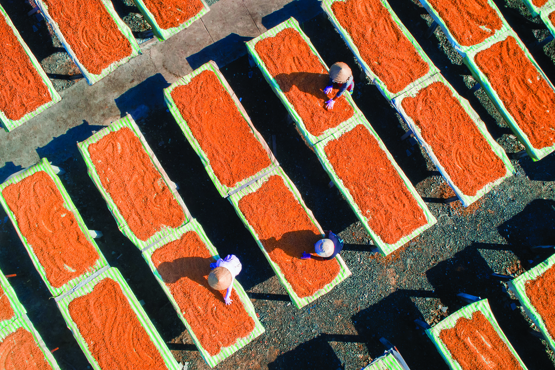 Nghề thủ công ở Tây Ninh